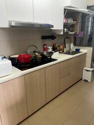 Blk 335C Anchorvale Cove (Sengkang), HDB 4 Rooms #570259451